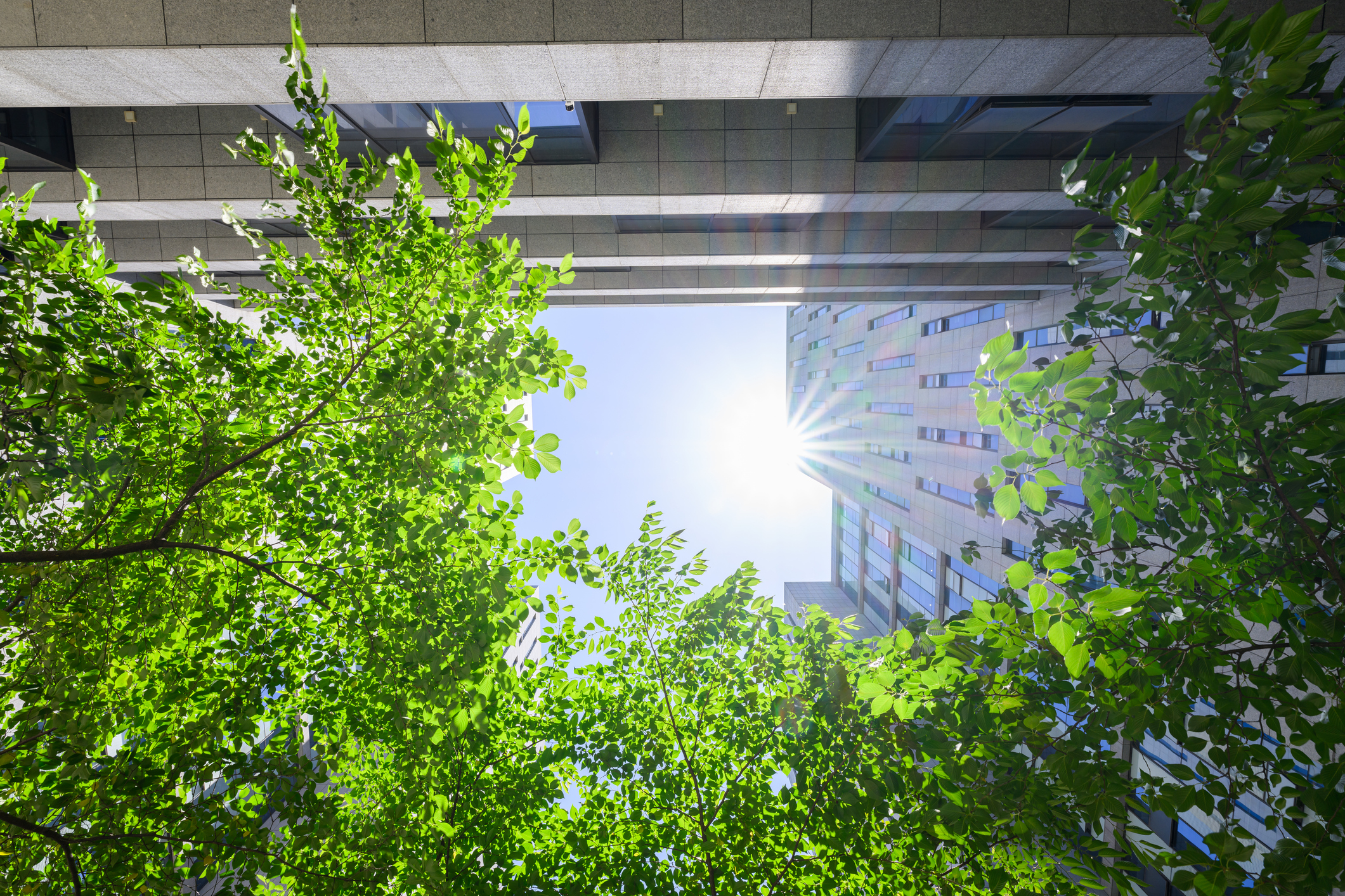 The nexus between green HRM and environmental performance for sustainable business excellence: the role of employees’ environmental passion and pro-environmental behavior